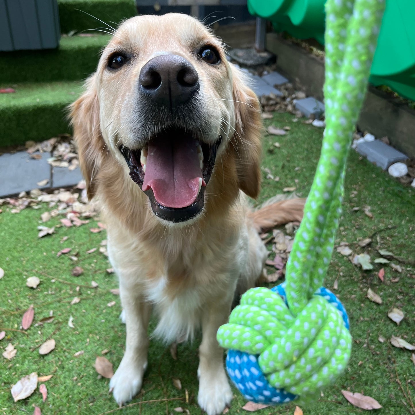 Spring series cotton knot rope pet chew toy set (8 pieces)