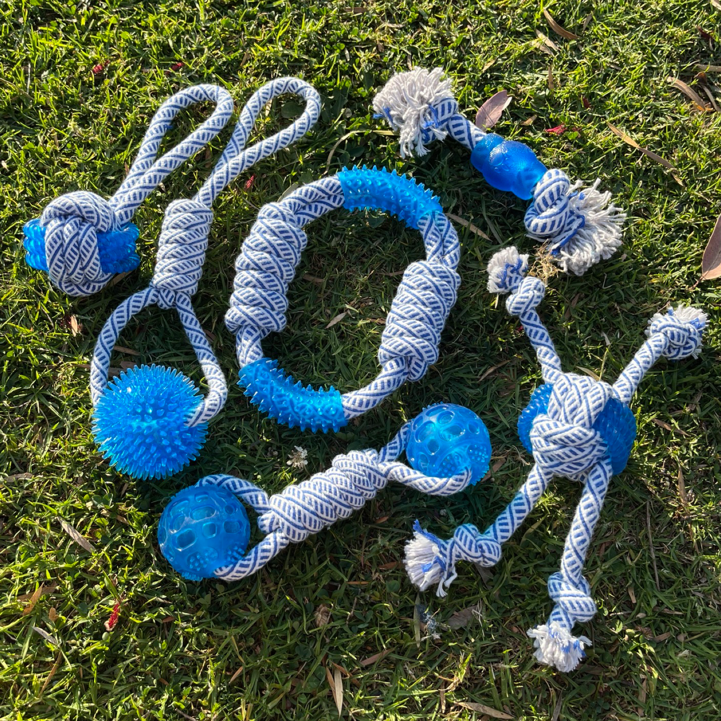 Ocean series cotton knot rope TPR rubber pet chew toy set