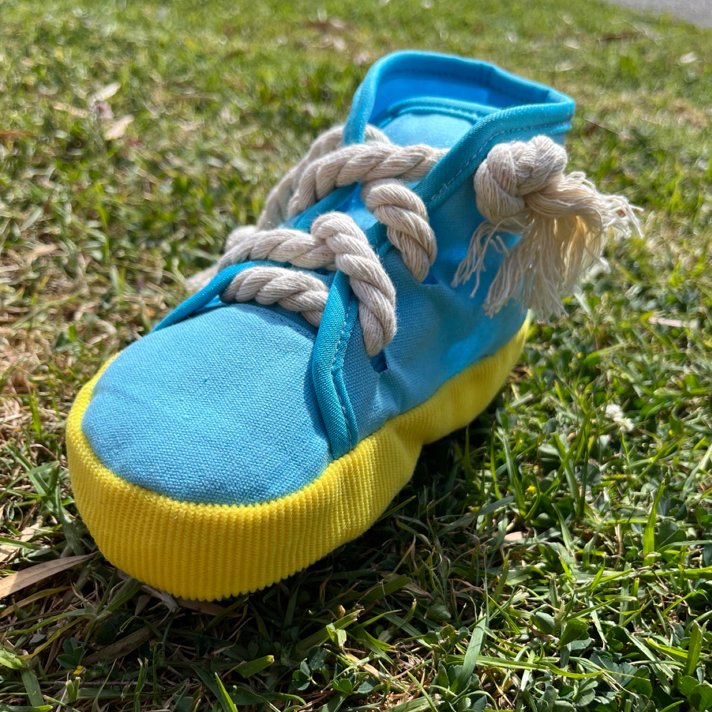 Squeaky cloth knot interactive shoe pet chew toy