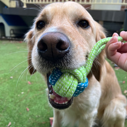 Spring series cotton knot rope pet chew toy set (8 pieces)