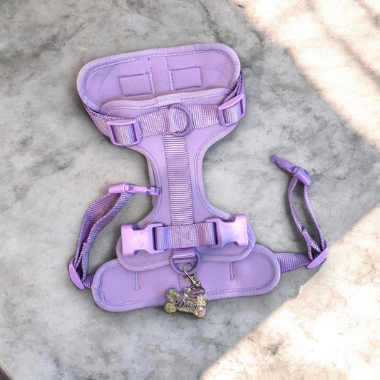 Fashion nylon pet harness