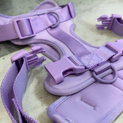 Fashion nylon pet harness