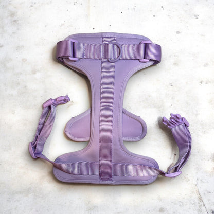 Fashion nylon pet harness